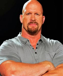 Stone Cold Steve Austin paint by numbers