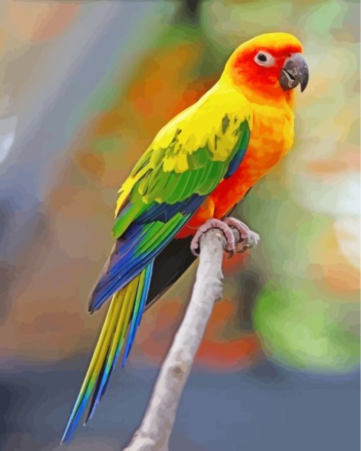 Sun Conure Bird paint by number