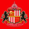 Sunderland AFC Logo paint by numbers