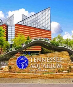 Tennesse Aquarium Chattanooga paint by numbers