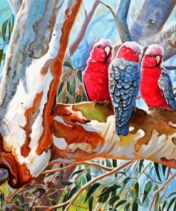 The Galah Cockatoo Birds paint by number