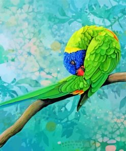 The Lorikeet Bird paint by numbers