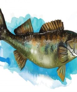 The Walleye Fish paint by numbers