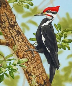 The Woodpecker Bird paint by numbers