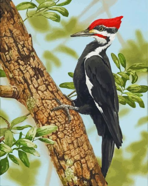 The Woodpecker Bird paint by numbers