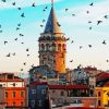 Turkey Galata Tower paint by number