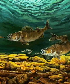 Walleye Fish Underwater paint by numbers