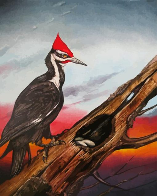 The Woodpecker Bird paint by numbers