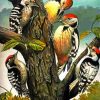 Woodpeckers Family Picoides paint by numbers