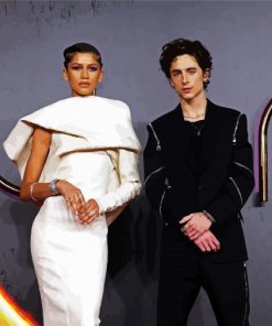 Tomothe Chalamet And Zendaya paint by numbers