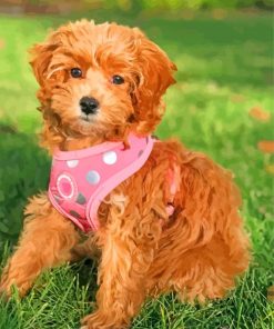 Aesthetic Cavapoo paint by numbers