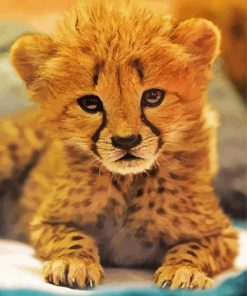 Adorable Cheetah paint by numbers