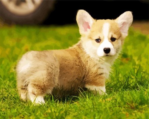 Adorable Corgis Pet paint by numbers