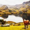 Aesthetic Parque Nacional Cajas Cuenca paint by number