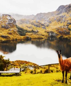 Aesthetic Parque Nacional Cajas Cuenca paint by number