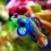 Aesthetic Colorful Fish paint by number