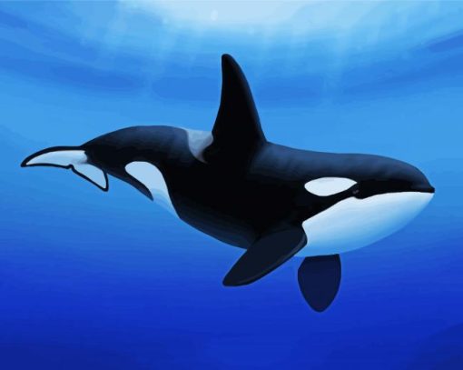 Aesthetic Killer Whale paint by numbers