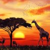 African Animals paint by numbers