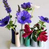 Anemones Vases paint by numbers