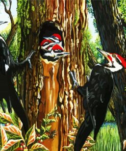 Woodpecker Birds paint by numbers