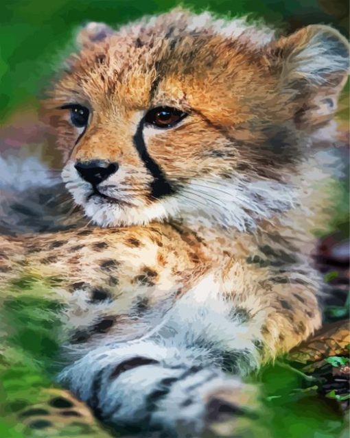 Baby Cheetah Cub paint by number