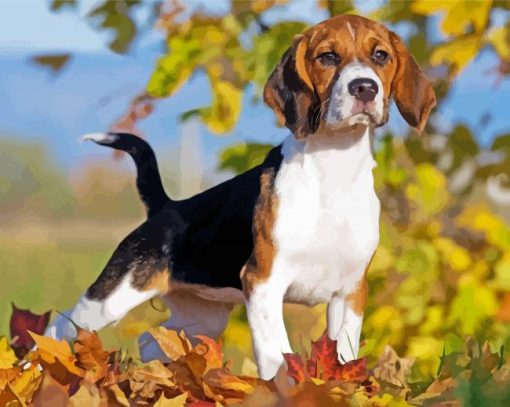 Beagle Dog Fall Leaves paint by numbers