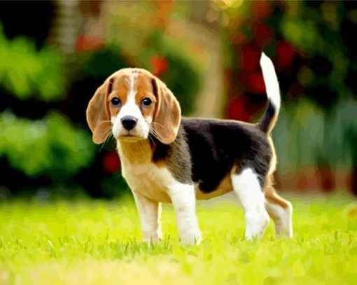 Beagle Dog Puppy paint by numbers