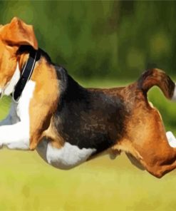 Beagle Running paint by numbers