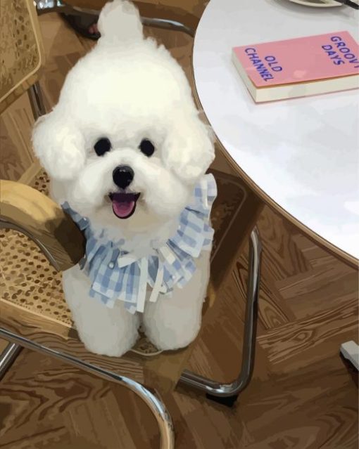 Bichon Wearing A Cute Dress paint by numbers