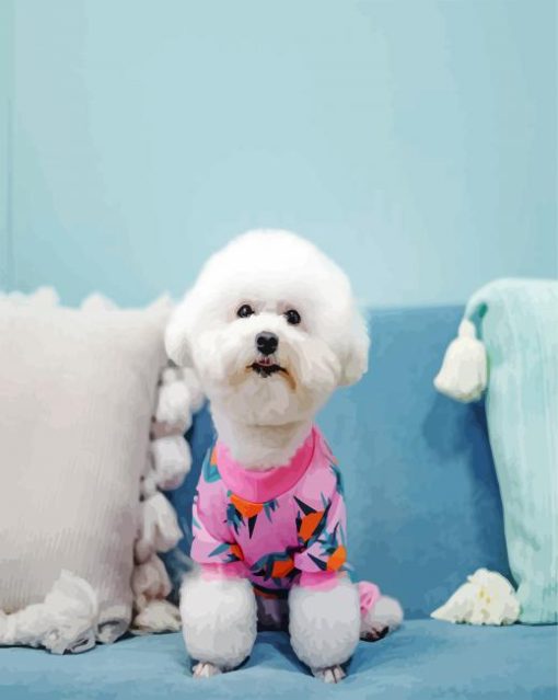 Bichon Wearing Pajamas paint by numbers