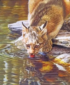 Bobcat Drinking Water paint by numbers