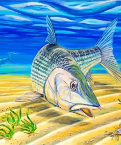 Bonefishes Art paint by number