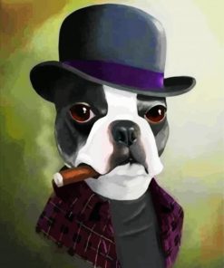 Boston Terrier With Hat paint by number