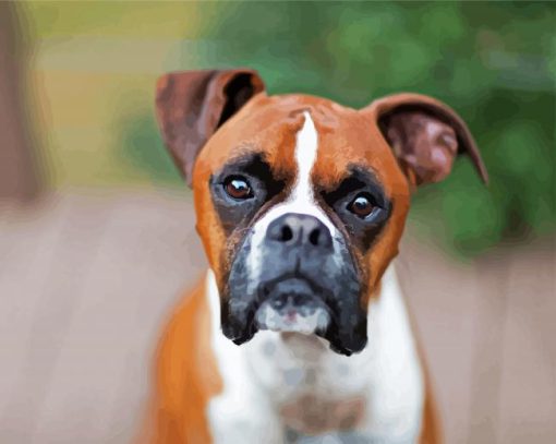 Brown Boxer paint by numbers