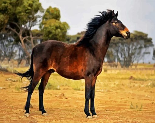 Brown Brumby paint by numbers