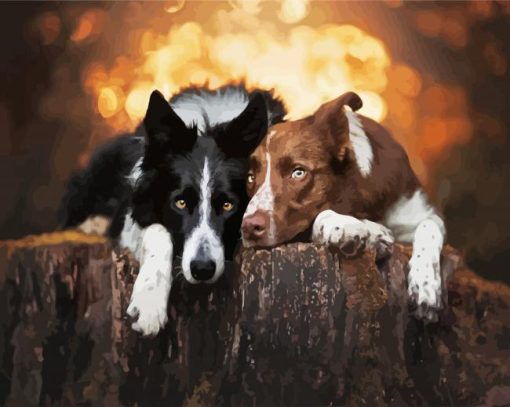 Brown And Black Collies paint by numbers