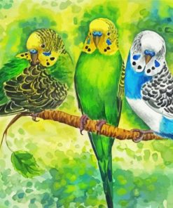 Budgerigar Birds paint by number