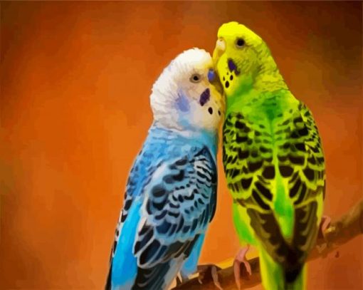 Budgerigars paint by number