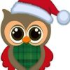 Christmas Owl paint by numbers