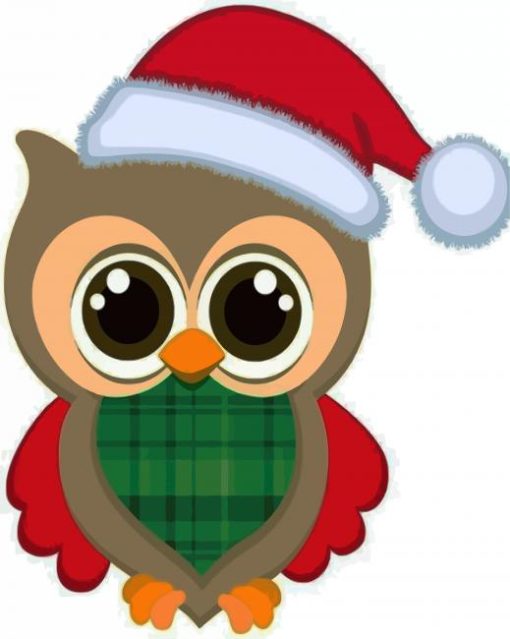 Christmas Owl paint by numbers