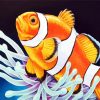 Clownfish paint by numbers