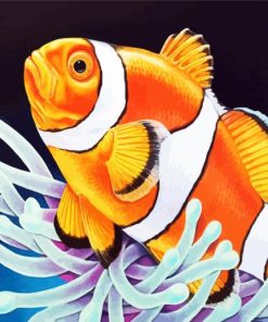 Clownfish paint by numbers