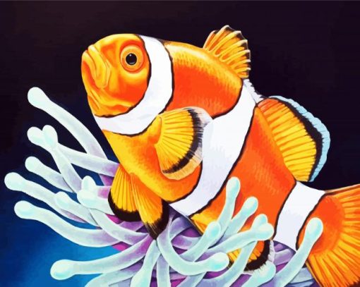 Clownfish paint by numbers