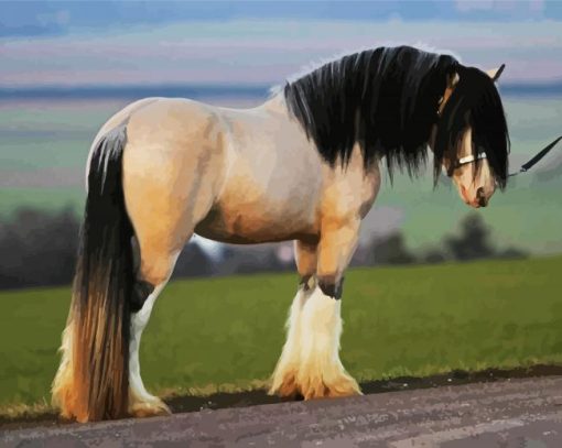 Clydesdale paint by numbers