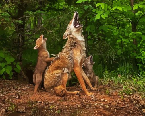 Coyote Howling Lesson paint by numbers