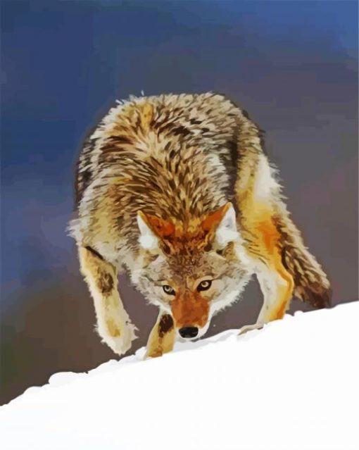 Coyote In Snow paint by numbers