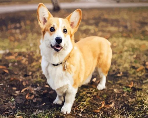 Cute Corgis paint by number