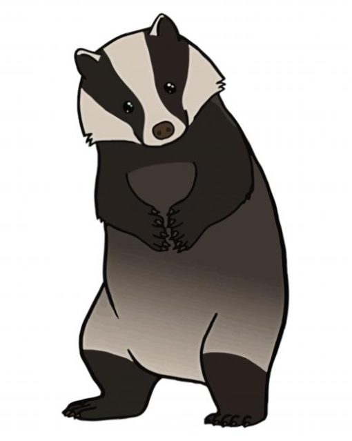 European Badger paint by numbers