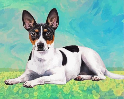 Cute Rat Terrier paint by number