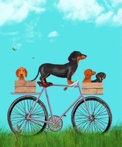 Dachshunds On Bicycle paint by number